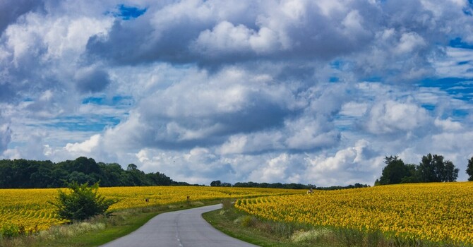Healthy Aging Roadmap
